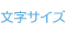 文字サイズ